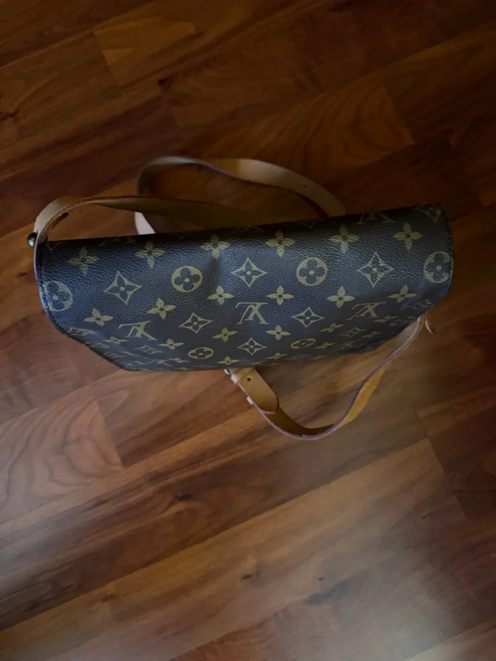 Louis Vuitton authentic louis